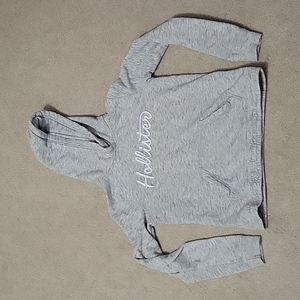Hollister Grey Signature Hoodie Sweatshirt, Size S